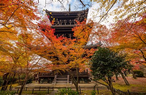 Top 10 Fall Colors Spots In Kyoto Japan Travel Caffeine