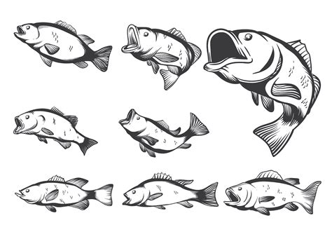 Bass Fish Vectors Download Free Vector Art Stock Graphics And Images