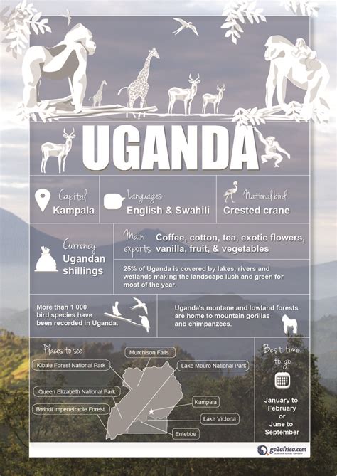 Uganda Country Information Infographic Africa Travel