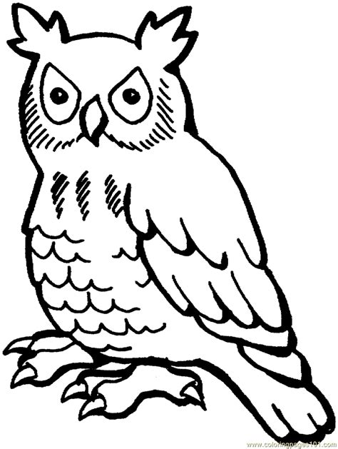 Owls Drawings In Color