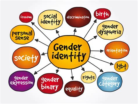 Gender Identity Mind Map Concept For Presentations And Reports Stock Illustration