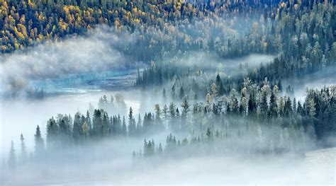 Wallpaper Sunlight Trees Landscape Forest Fall China Lake