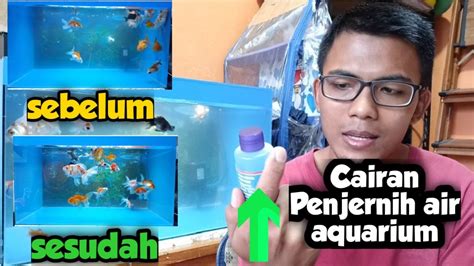 PENJERNIH AIR AQUARIUM YANG BAGUS DAN MURAH Cara Menjernihkan Air