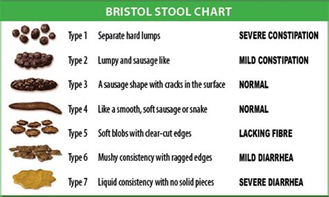 Cat Poop Chart The Cat Feces Score Chart For State Of Health The