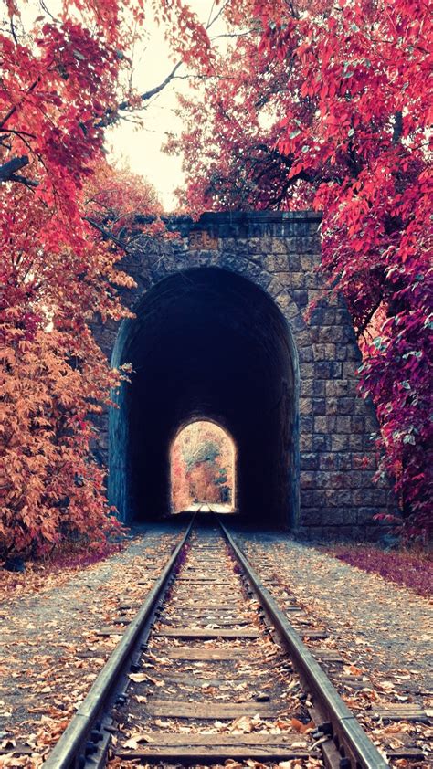 Find images of portrait nature. portrait Display, Nature, Trees, Fall, Leaves, Railway, Tunnel, Red, Bricks, Armenia Wallpapers ...
