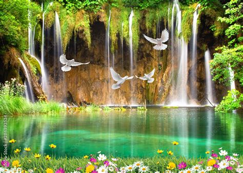 3d Nature Wallpaper Background And Waterfall Sea Seagulls Wood