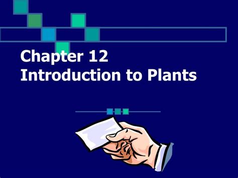 Ppt Chapter 12 Introduction To Plants Powerpoint Presentation Free