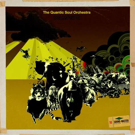 The Quantic Soul Orchestra 1집 Stampede 2009
