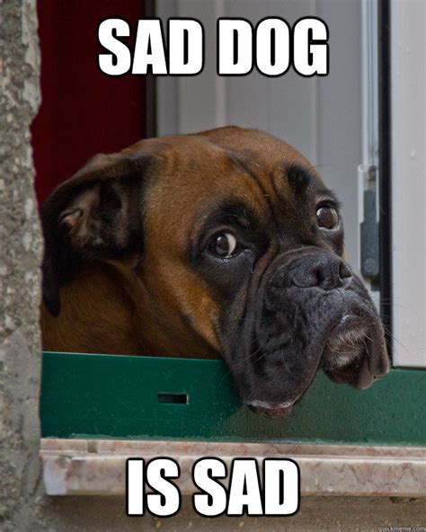 Sad Dog Memes Image Memes At