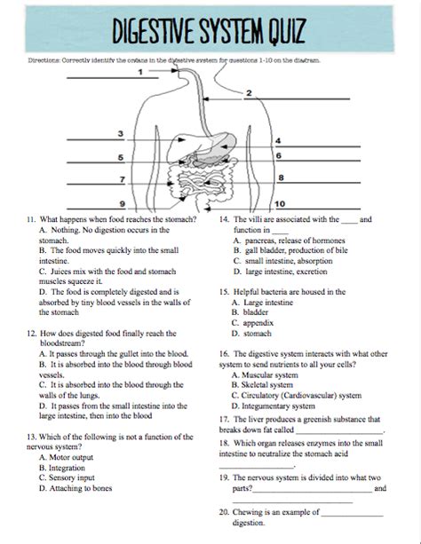 Oh My Science Teacher Digestive System Quiz Digestive System