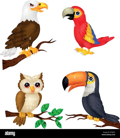 Bird Cartoon Collection Stock Vector Image And Art Alamy