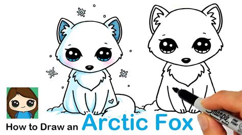 How To Draw Arctic Fox Easy Learn How To Draw Images And Photos Finder
