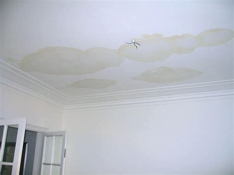 Water Leak Ceiling Who To Call Shelly Lighting