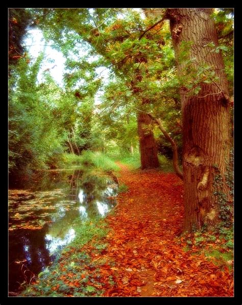 Enchanted Autumn By Forestina Fotos On Deviantart