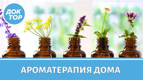 Домашняя ароматерапия. От простуды, для хорошего сна. Как пользоваться ...