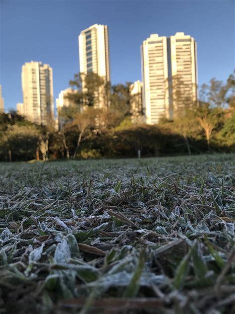 Londrina Registra Geada E Temperatura Perto Do Zero