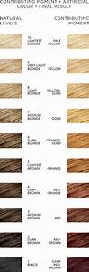 Contributing Pigment Chart Hair Color Chart Hair Color Orange Hair