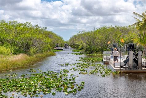 Kitchen, tv and an outdoor space Everglades National Park bezoeken - Tips, boottocht en ...