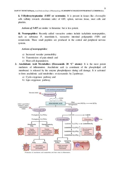 Inflammation Pathophysiology