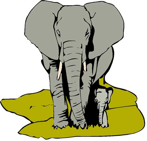 La Chachipedia Dibujos De Elefantes Para Colorear Para Imprimir Y