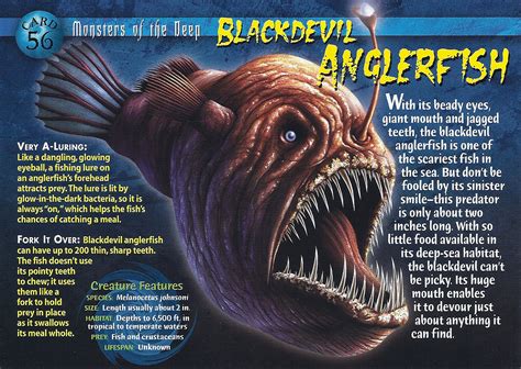 Blackdevil Anglerfish Wierd Nwild Creatures Wiki