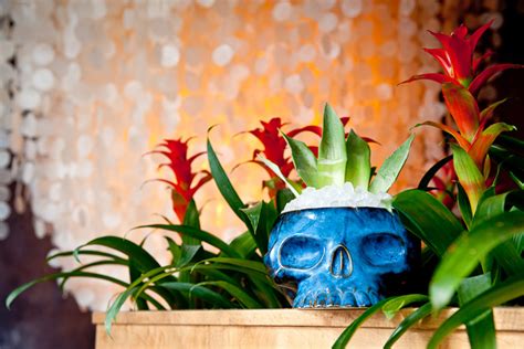 Beachbum Berry To Open Tiki Bar In New Orleans Punch