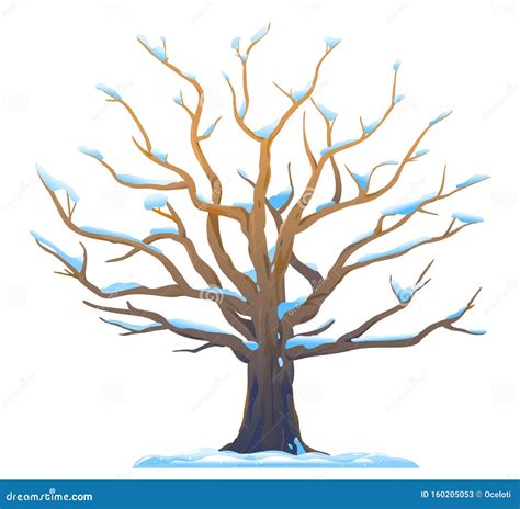 Oak Tree In Winter Isolated Illustration Stock Vector Illustration Of