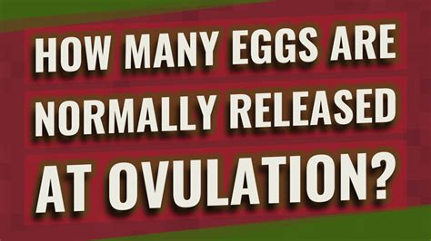 How Many Eggs Are Normally Released At Ovulation Youtube