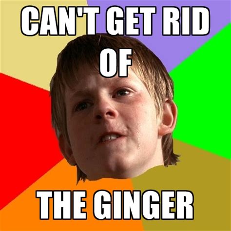 100 hilarious ginger meme images