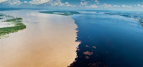 Why The Amazon River Is A Different Color Than The Rio Negro