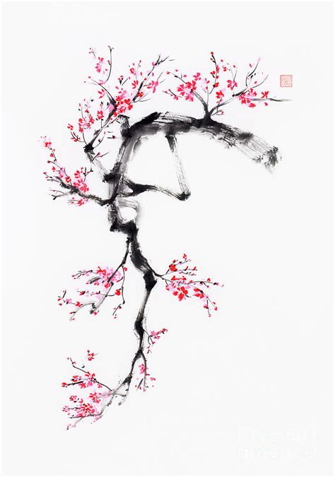 Cherry Blossom Japanese Ink Paintings