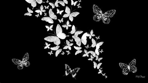 Black Butterfly Background Wallpaper 68 Images