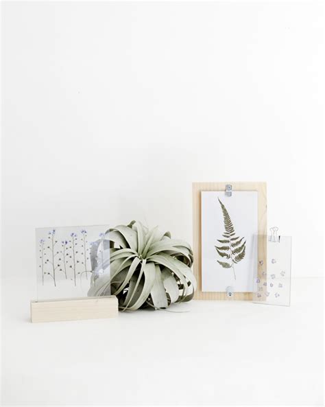 Diy Pressed Flower Display The Merrythought