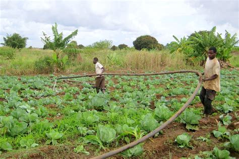 Remote Sensing For Irrigation In Sub Saharan Africa Promises And Pitfalls Cgiar