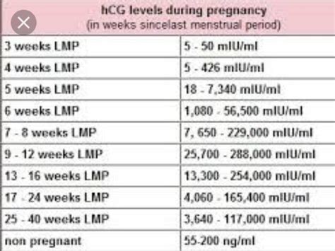 Hcg Pregnancy Levels Prenatal Vitamins