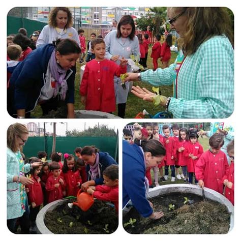 Plantación En El Huerto Escolar Salesianos Ourense