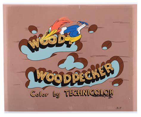 Woody Woodpecker Title Production Cels From The Woody Woodpecker Show