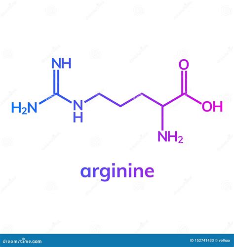 Arginine Chemical Formula Stock Vector Illustration Of Science 152741433