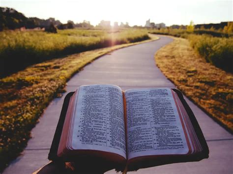 9 Best Bible Versions Popular Bible Translations Assured Faith