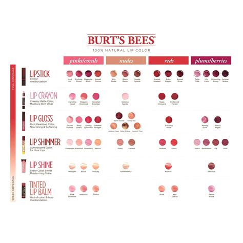 Free 2 Day Shipping On Qualified Orders Over 35 Buy Burts Bees 100