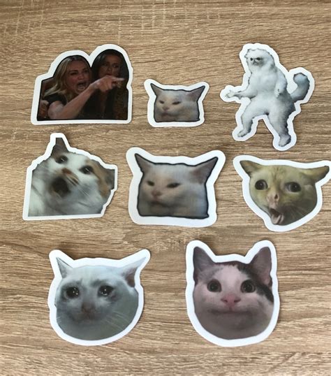 Cat Meme Sticker Pack Laminated Cats Funny Stickers Etsy