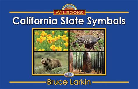 California State Symbols First Grade Book Wilbooks