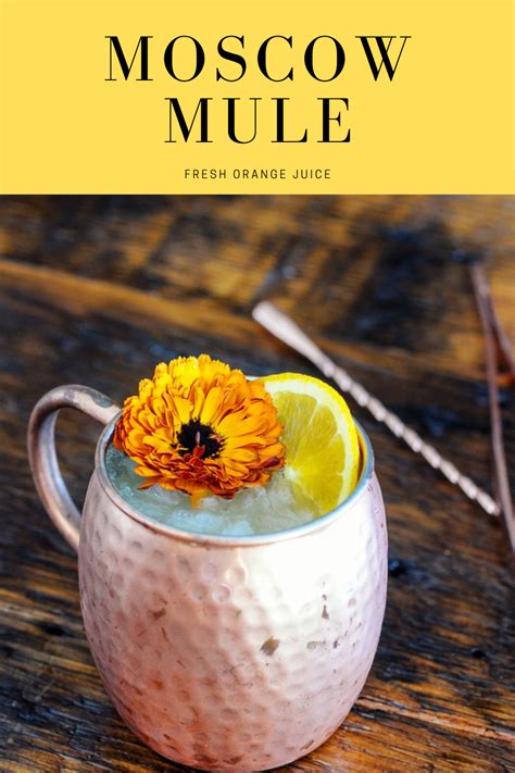 Orange Moscow Mule In 2021 Easy Drink Recipes Easy Drinks To Make