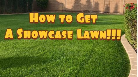 How To Get A Showcase Lawn Overseeding My Lawn Overseeding Perennialryegrass