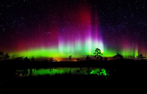 Aurora Borealis Night Stars Colurful Trees Lakes Landscapes Nature Earth Beauty