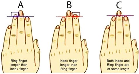 Significance Of Finger Length