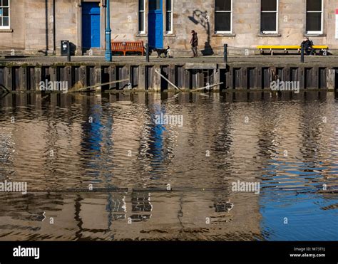 Man And Dog On Water Hi Res Stock Photography And Images Alamy