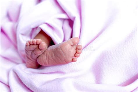 Tiny Feet Of A Newborn Baby Legs On A Pink Background Baby Feet With