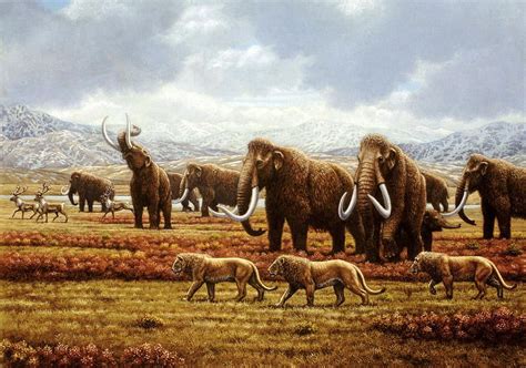 Woolly Mammoths By Mauricio Anton Prehistoric Wildlife Prehistoric