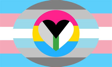 Trans Demiboy Pansexual Demiromantic Combo Flag By Pride Flags On